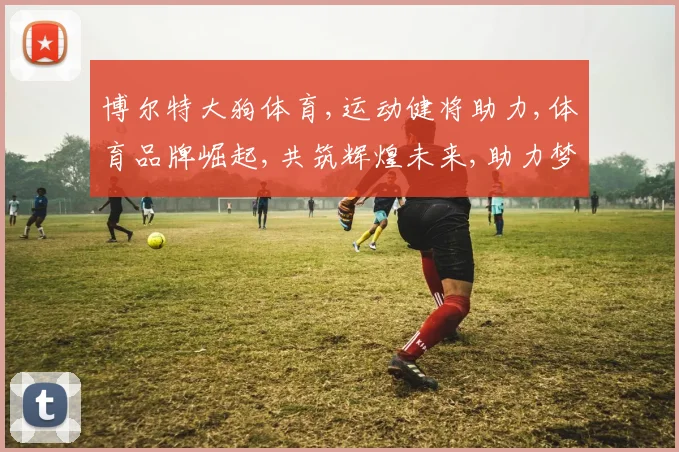 博尔特大狗体育,运动健将助力,体育品牌崛起,共筑辉煌未来,助力梦想启航。