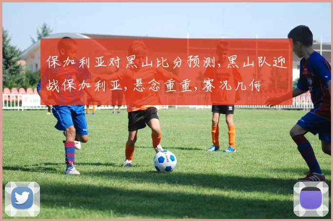 保加利亚对黑山比分预测,黑山队迎战保加利亚,悬念重重,赛况几何